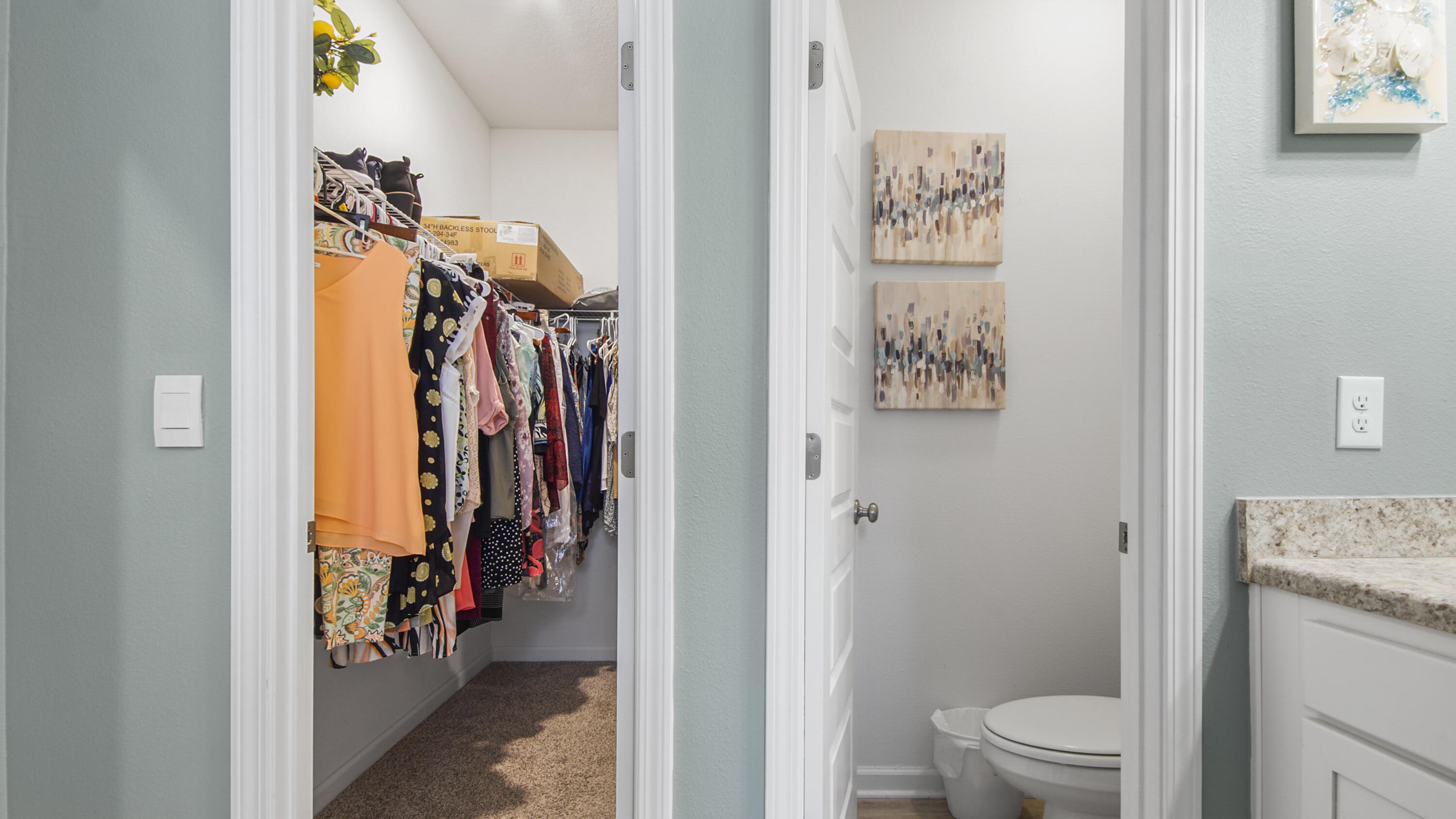 41 Woodsorrel Street Freeport, FL 32439 - Photo 10 of 41 a view of a walk in closet