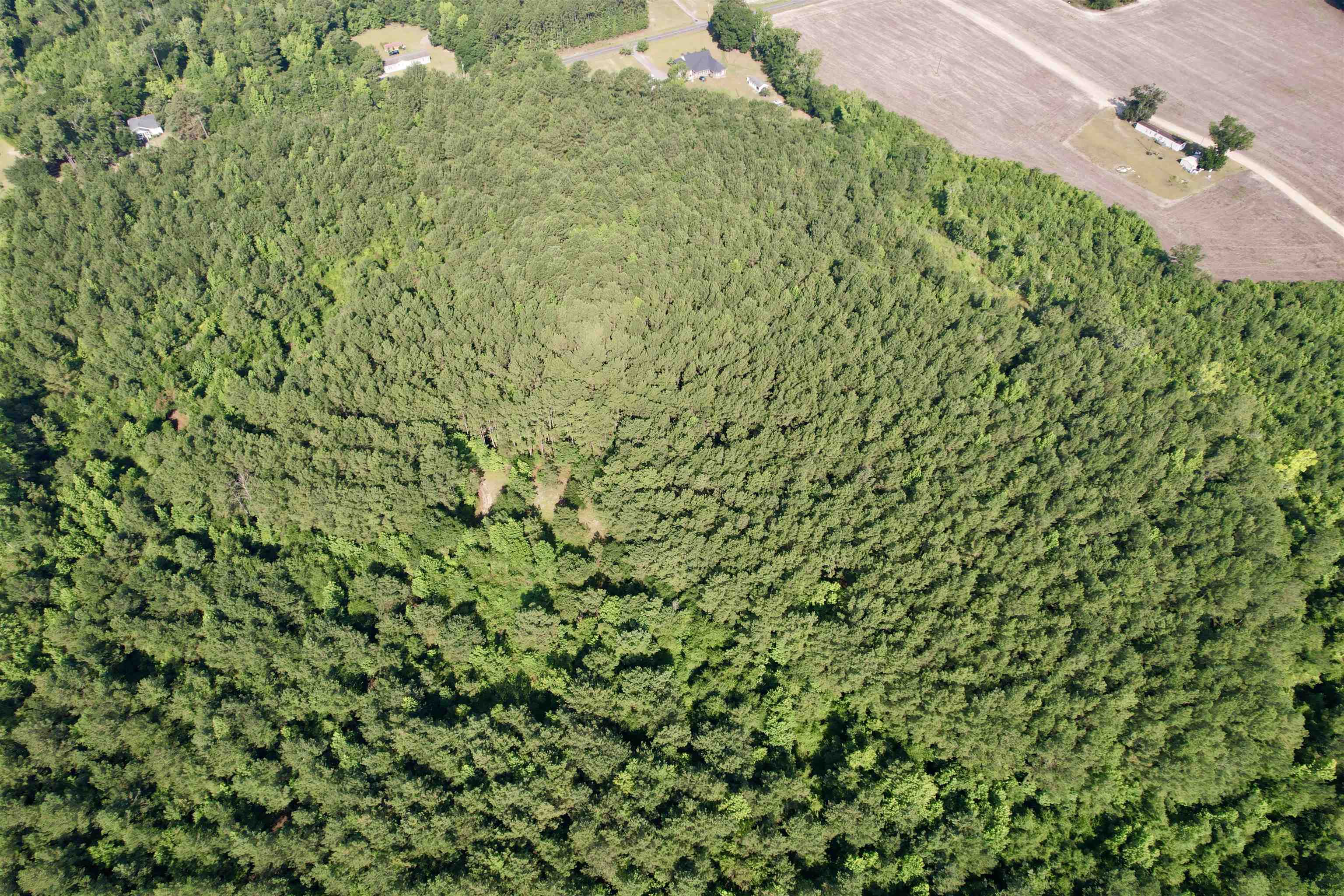 101.49-acres - Epps Road New Zion, SC 29111 - Photo 17 of 24