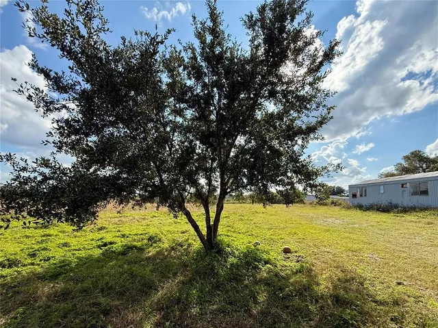 a view of yard with large tree