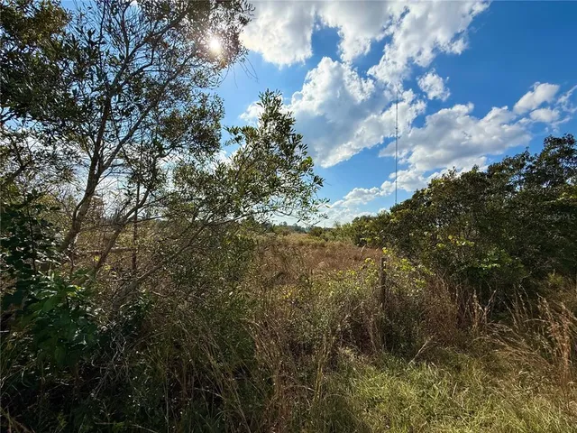 a view of a lake from a yard