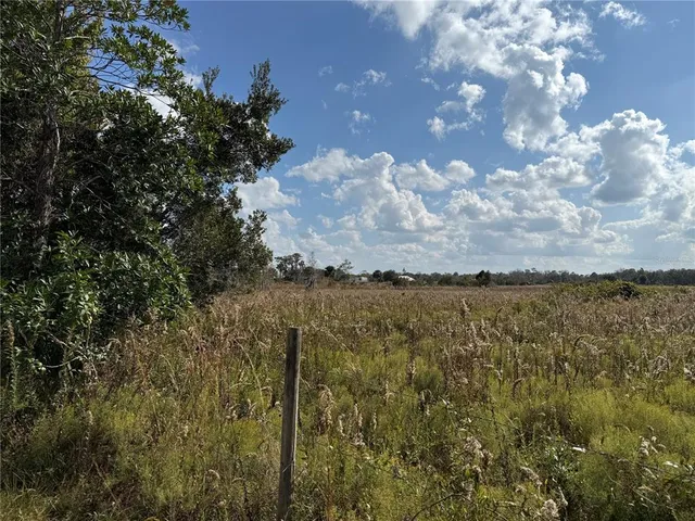 a view of a field with an ocean