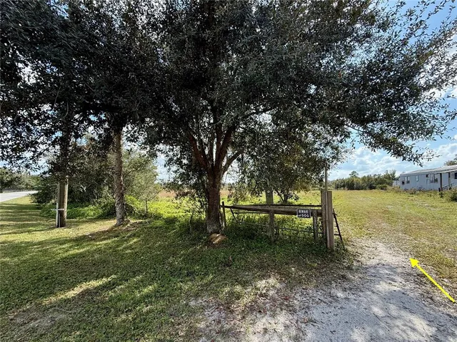 a view of a park with large trees