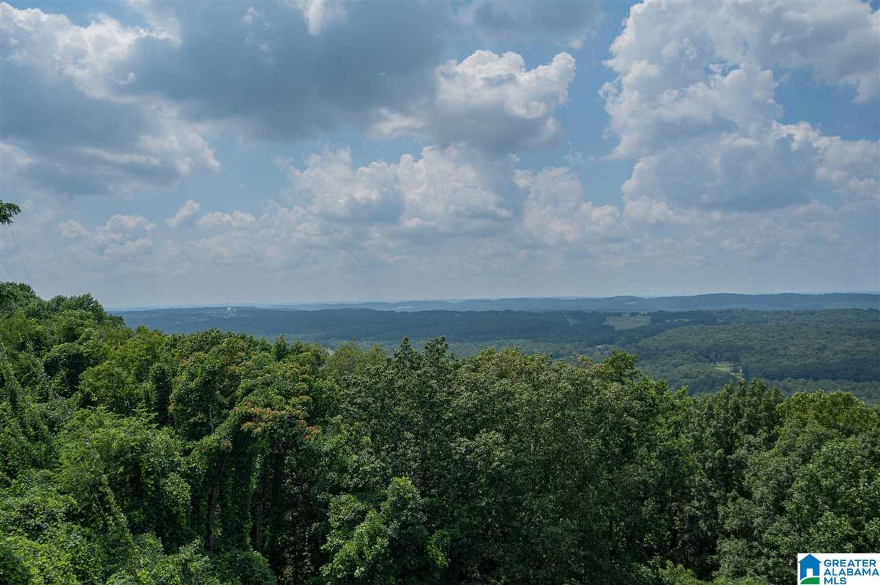 720 Shades Crest Road Birmingham, AL 35226 - Photo 34 of 49