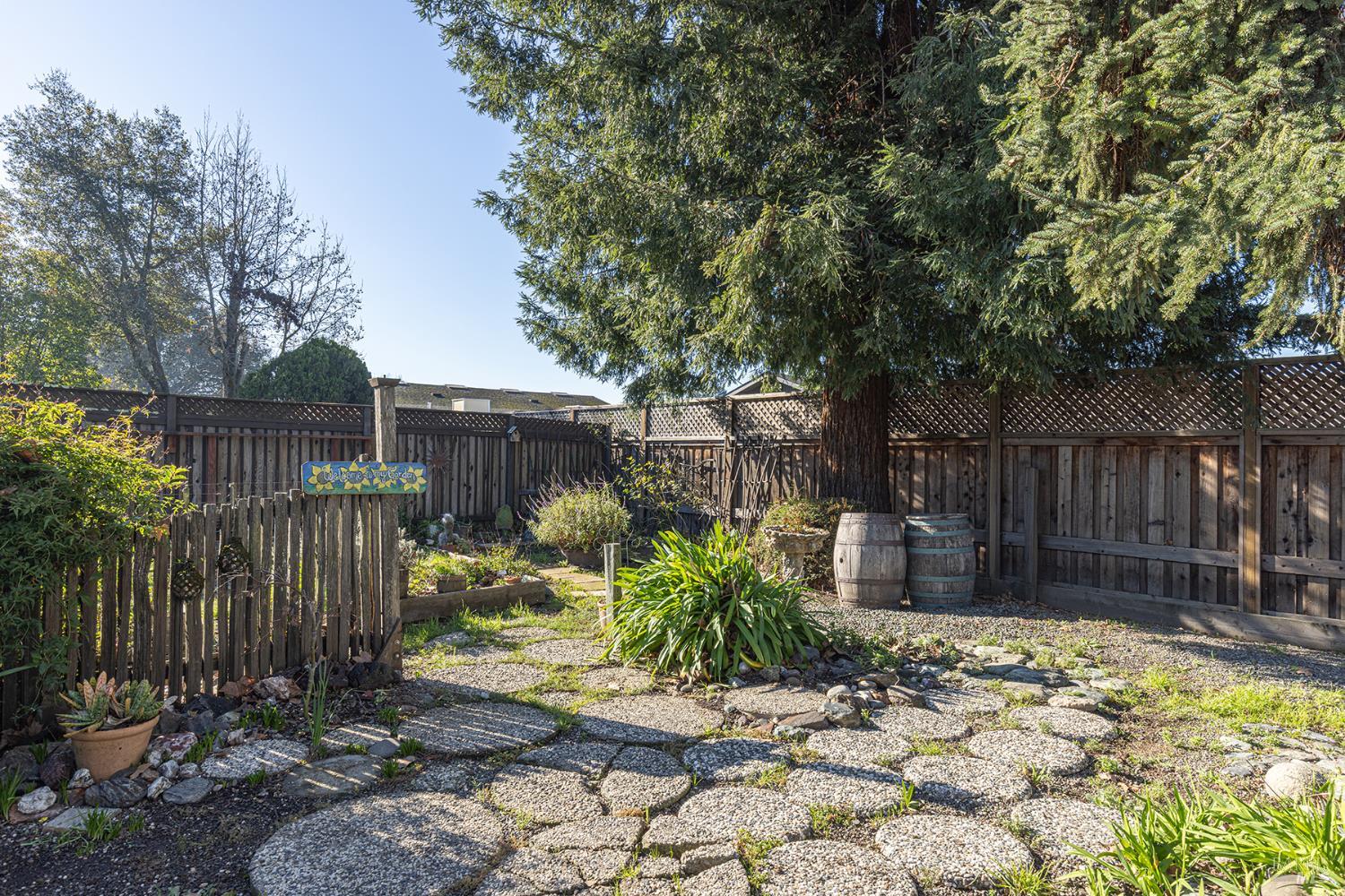 1225 Matanzas Way Santa Rosa, CA 95405 - Photo 37 of 44 a view of a backyard with wooden fence and plants