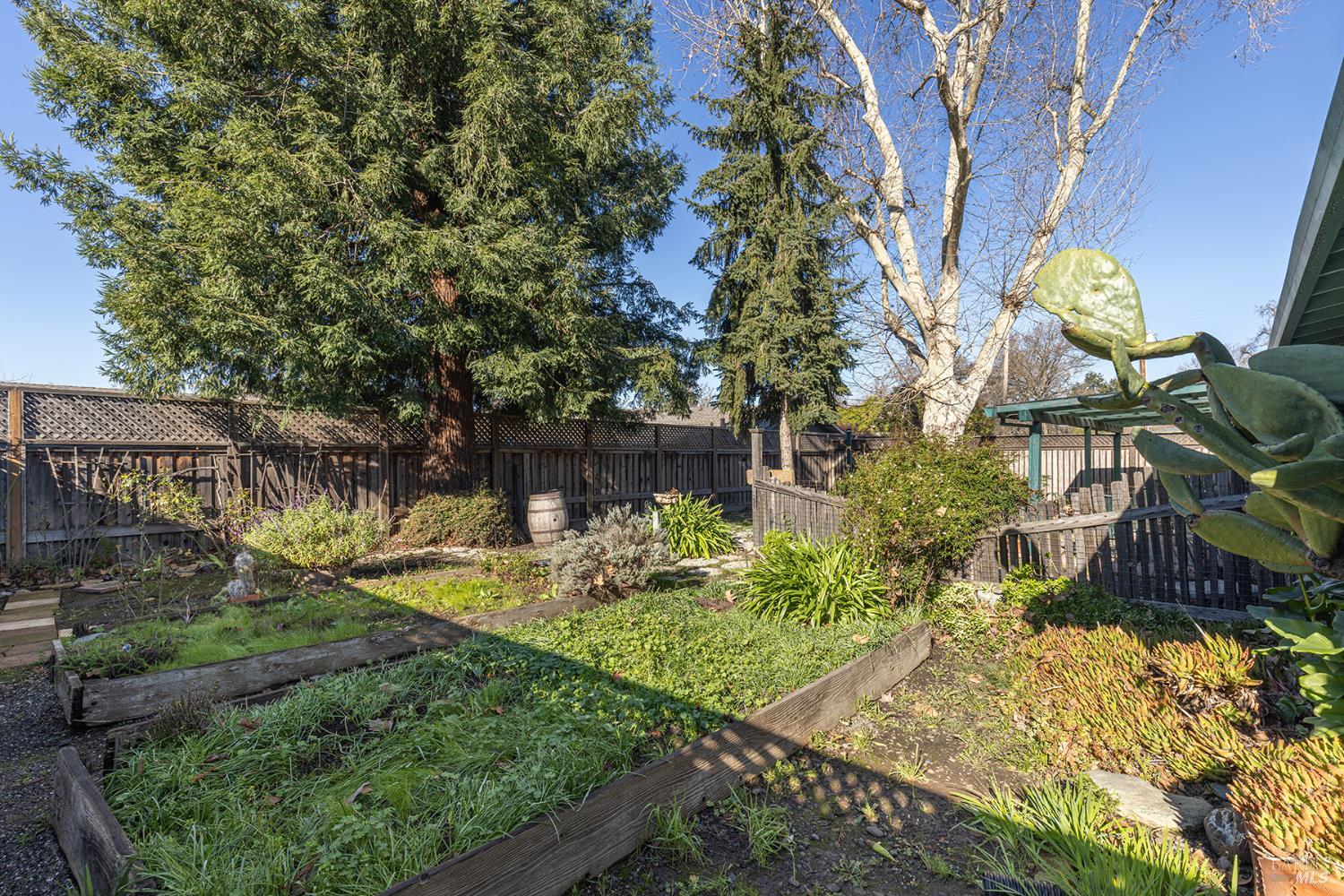 1225 Matanzas Way Santa Rosa, CA 95405 - Photo 43 of 44 a view of backyard with plants and outdoor seating