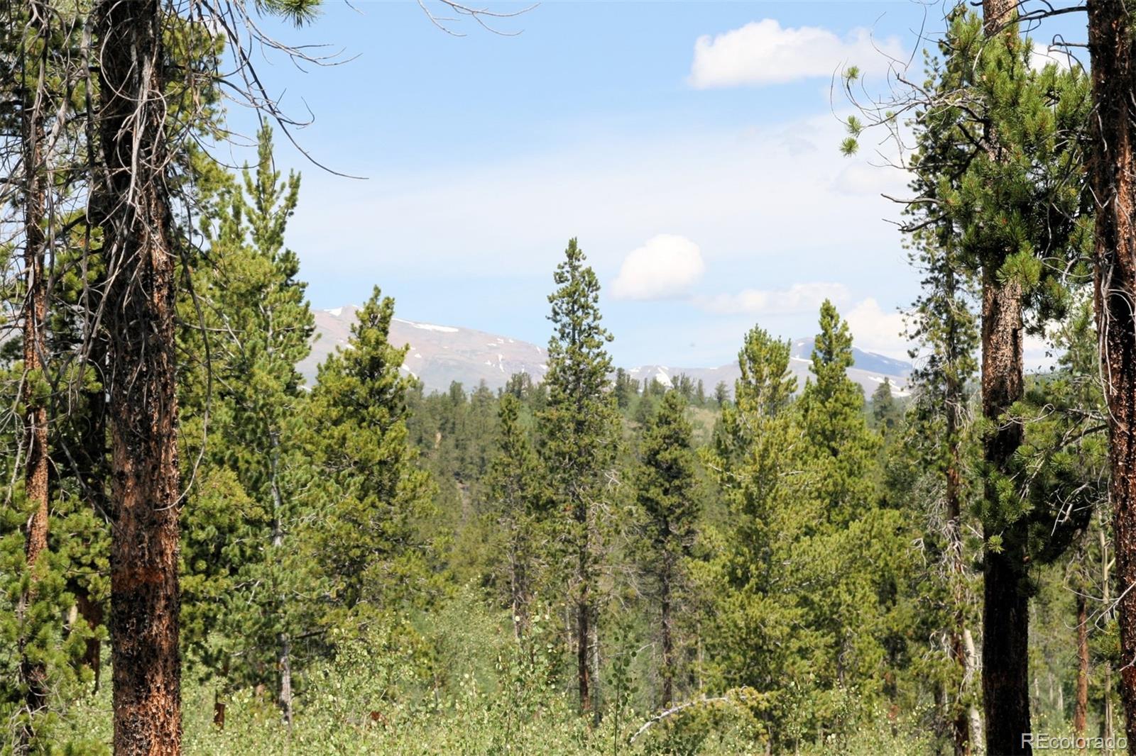 Thompson Park Road Fairplay, CO 80440 - Photo 17 of 25 Gallery Image 17