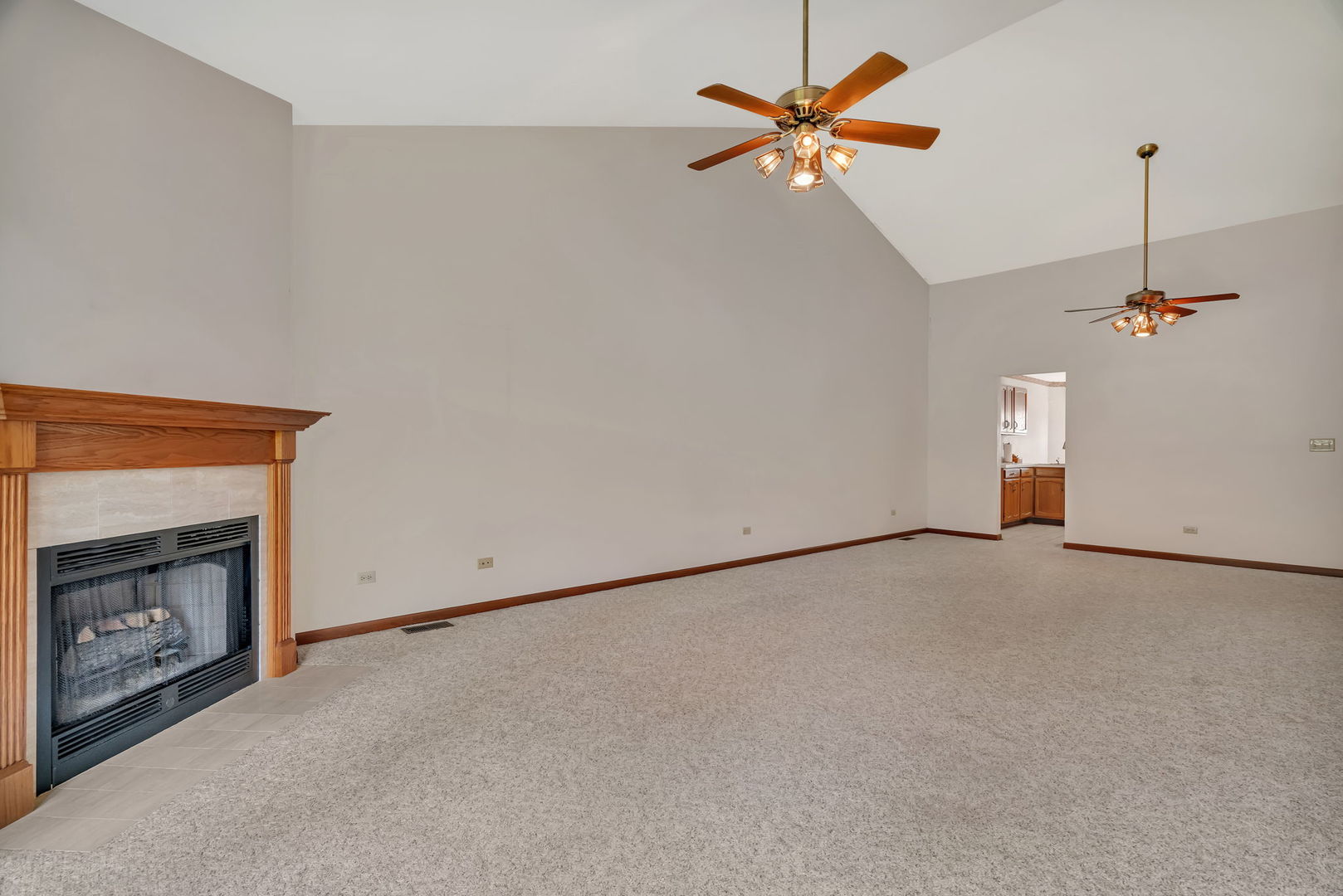 13472 Redberry Circle Plainfield, IL 60544 - Photo 13 of 30 an empty room with fan and windows