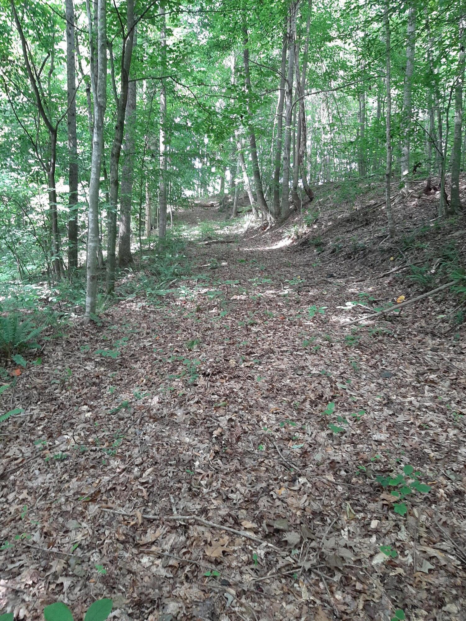 0 Pond Ridge Trail Nancy, KY 42544 - Photo 5 of 8 20210707_111217
