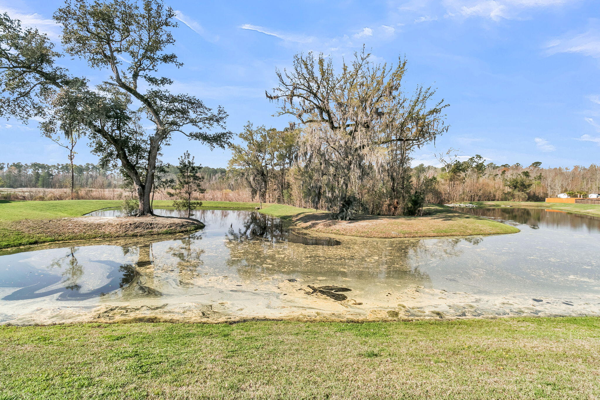 569 Pendleton Drive Moncks Corner, SC 29461 - Photo 38 of 49 CREM - 569 Pendleton Dr-5