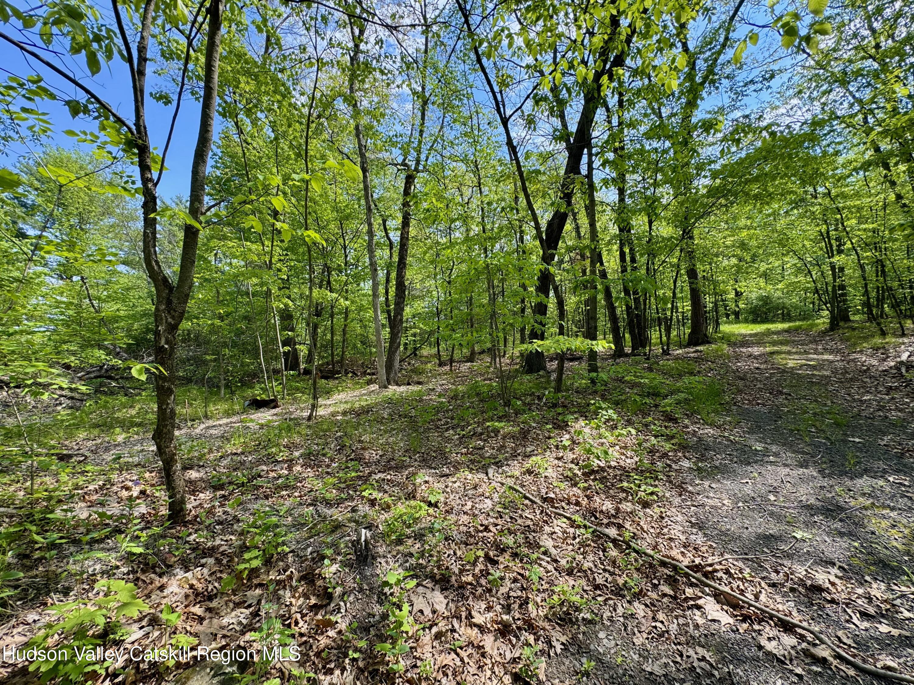 Tbd Bill Matter Road Climax, NY 12042 - Photo 6 of 16 a backyard of a house with lots of green space
