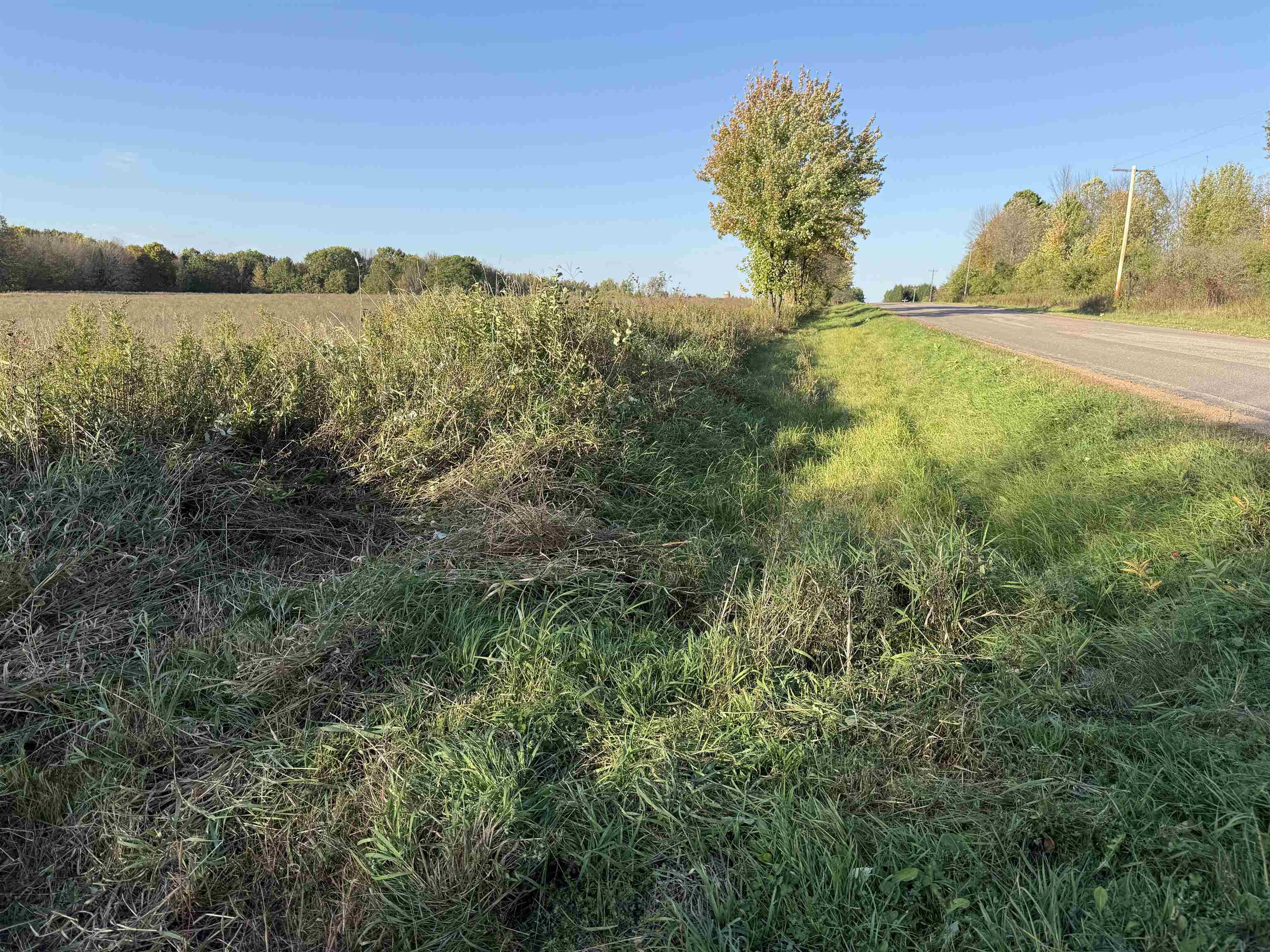 Lot 3 Eau Claire River Road Ringle, WI 54471 - Photo 11 of 19