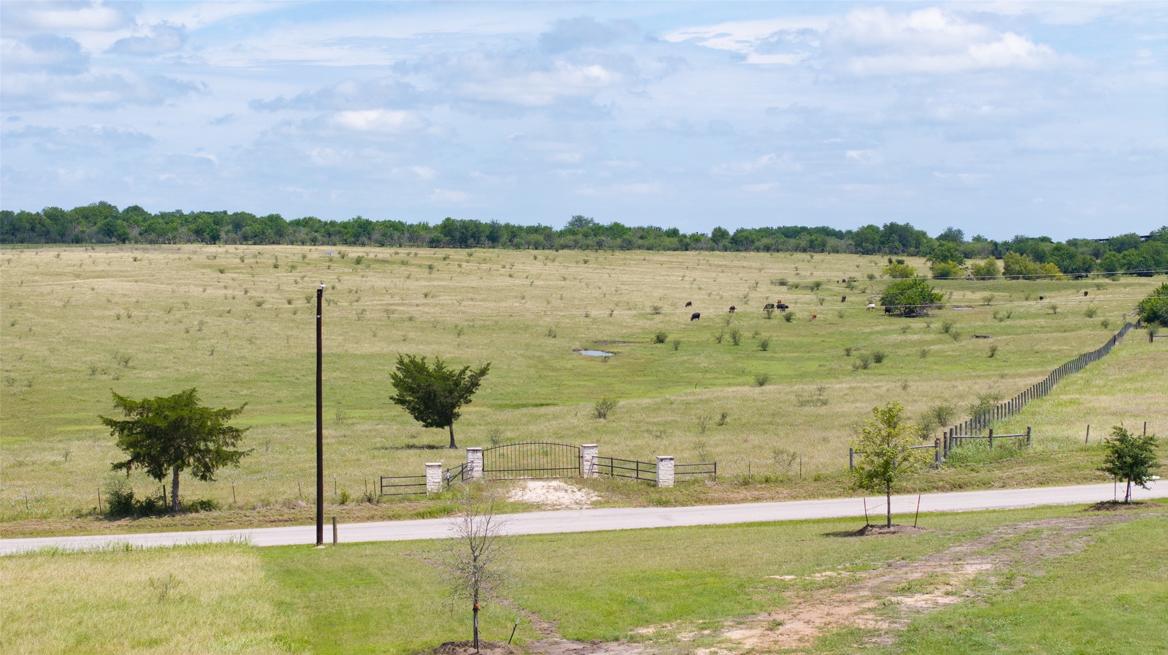 5661 Chadwick-Hogan Road Chappell Hill, TX 77426 - Photo 13 of 22