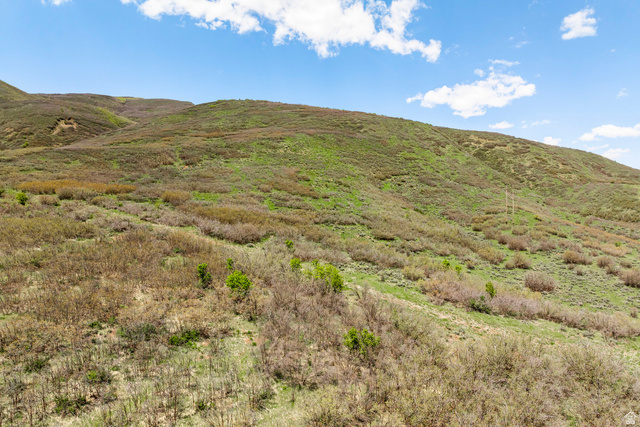 978 South Upland Loop, Unit 22 Midway, UT 84049 - Photo 20 of 22