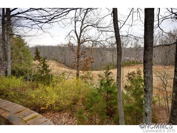 2481 Red Fox Road, Unit 3 Tryon, NC 28782 - Photo 3 of 19 Gallery Image 3