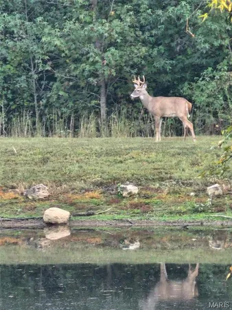 $499,900 | 497 Honor Lane, Poplar Bluff, MO 63901