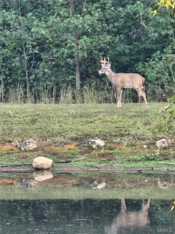 $499,900 | 497 Honor Lane, Poplar Bluff, MO 63901