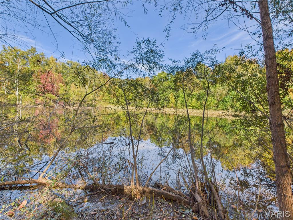 497 Honor Lane Poplar Bluff, MO 63901 - Photo 65 of 89