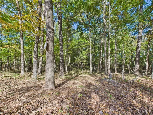 $499,900 | 497 Honor Lane, Poplar Bluff, MO 63901
