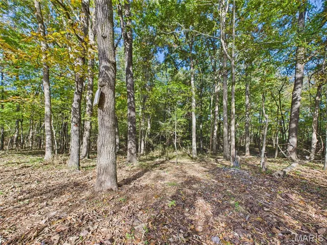 $499,900 | 497 Honor Lane, Poplar Bluff, MO 63901