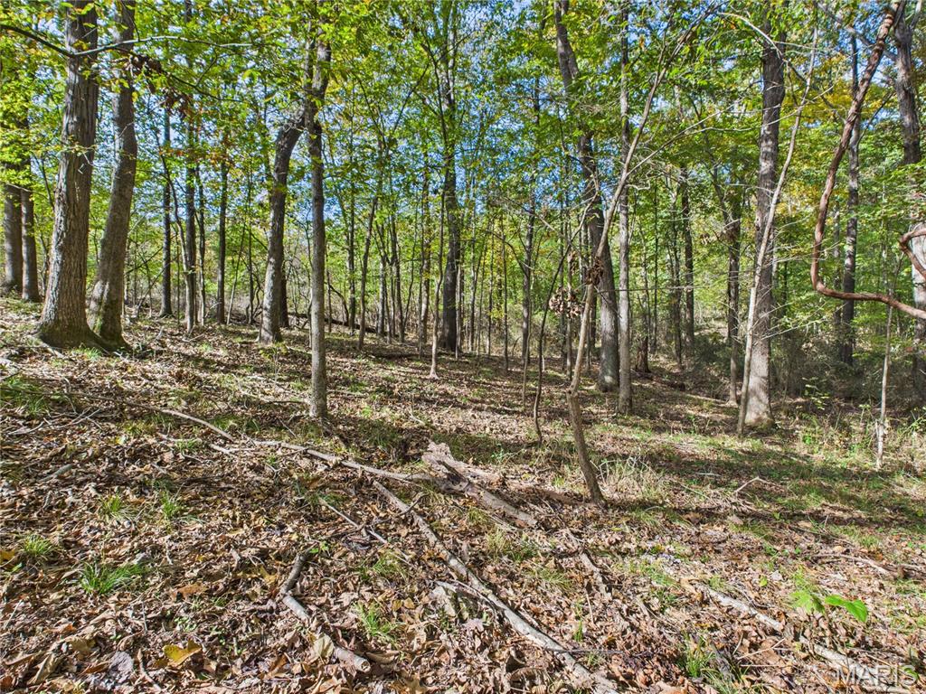 497 Honor Lane Poplar Bluff, MO 63901 - Photo 69 of 89