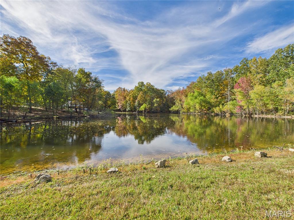 497 Honor Lane Poplar Bluff, MO 63901 - Photo 71 of 89