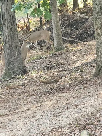 $499,900 | 497 Honor Lane, Poplar Bluff, MO 63901