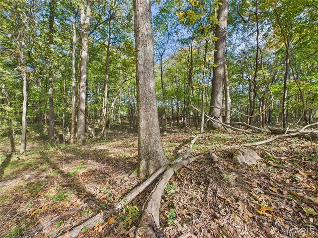 $499,900 | 497 Honor Lane, Poplar Bluff, MO 63901