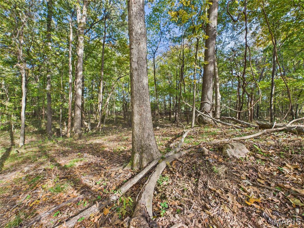 497 Honor Lane Poplar Bluff, MO 63901 - Photo 81 of 89