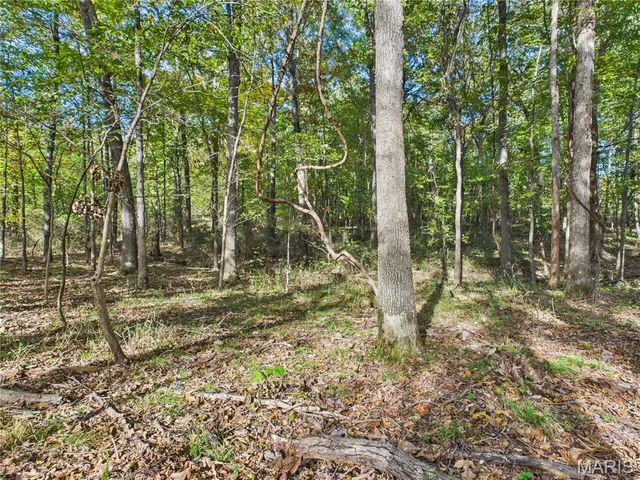 $499,900 | 497 Honor Lane, Poplar Bluff, MO 63901