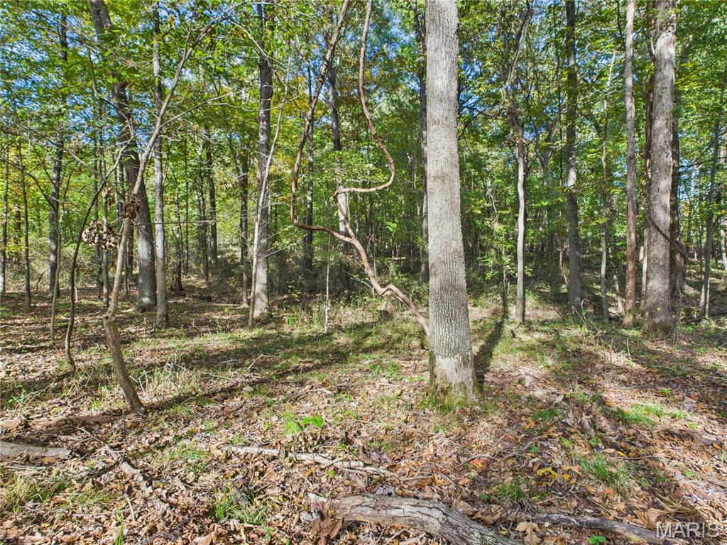 497 Honor Lane Poplar Bluff, MO 63901 - Photo 82 of 89