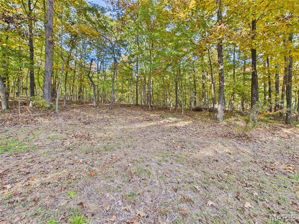 497 Honor Lane Poplar Bluff, MO 63901 - Photo 84 of 89