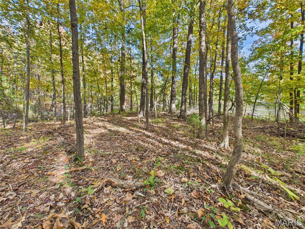 497 Honor Lane Poplar Bluff, MO 63901 - Photo 86 of 89