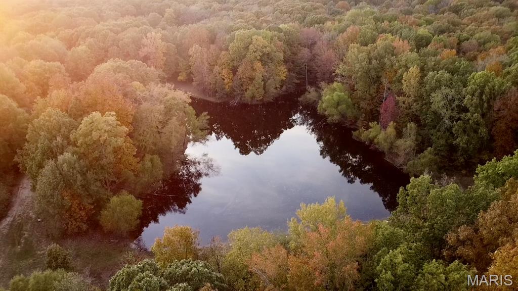 497 Honor Lane Poplar Bluff, MO 63901 - Photo 88 of 89