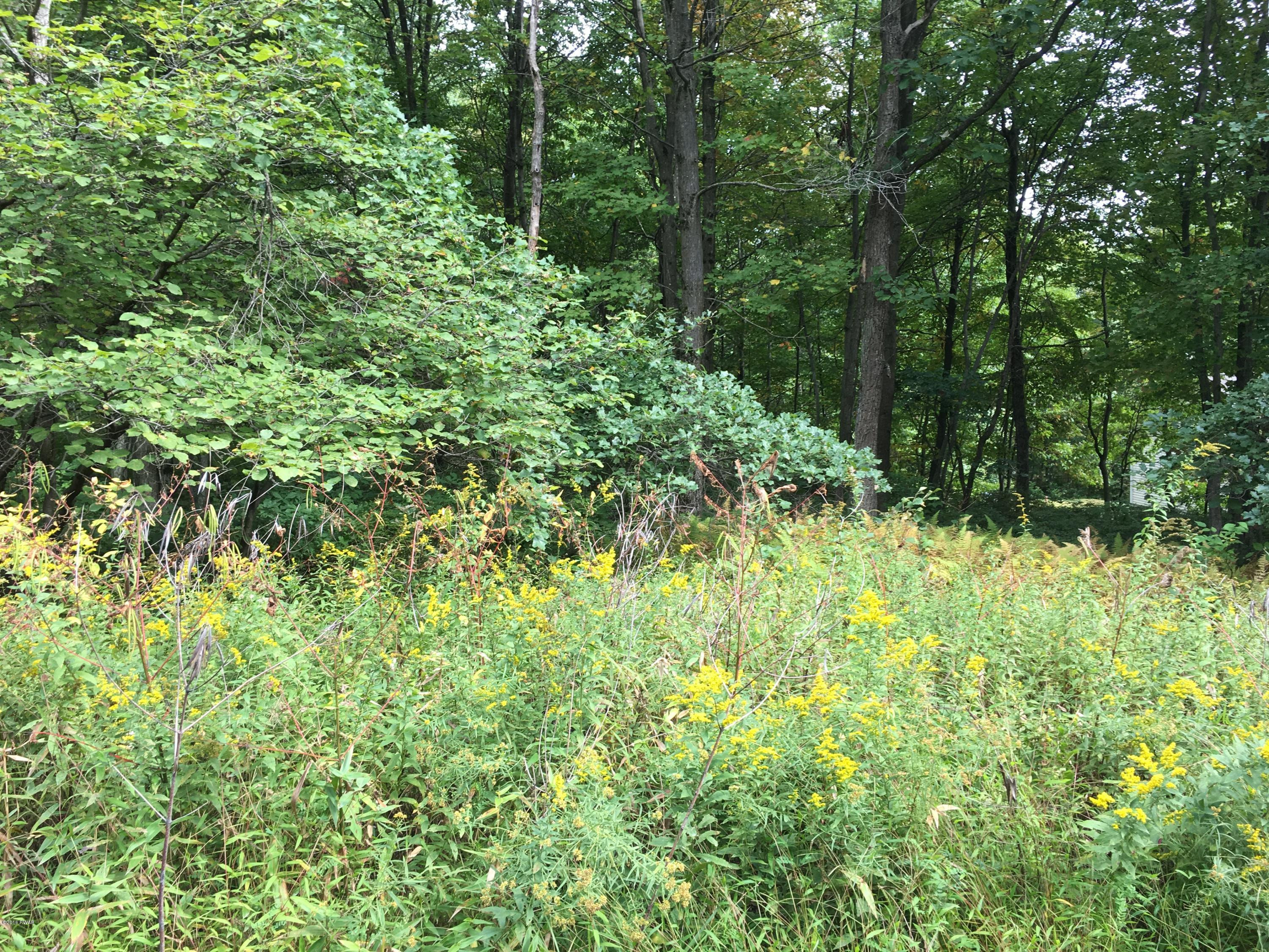 Lot 85 Galahad Road Greeley, PA 18425 - Photo 5 of 5