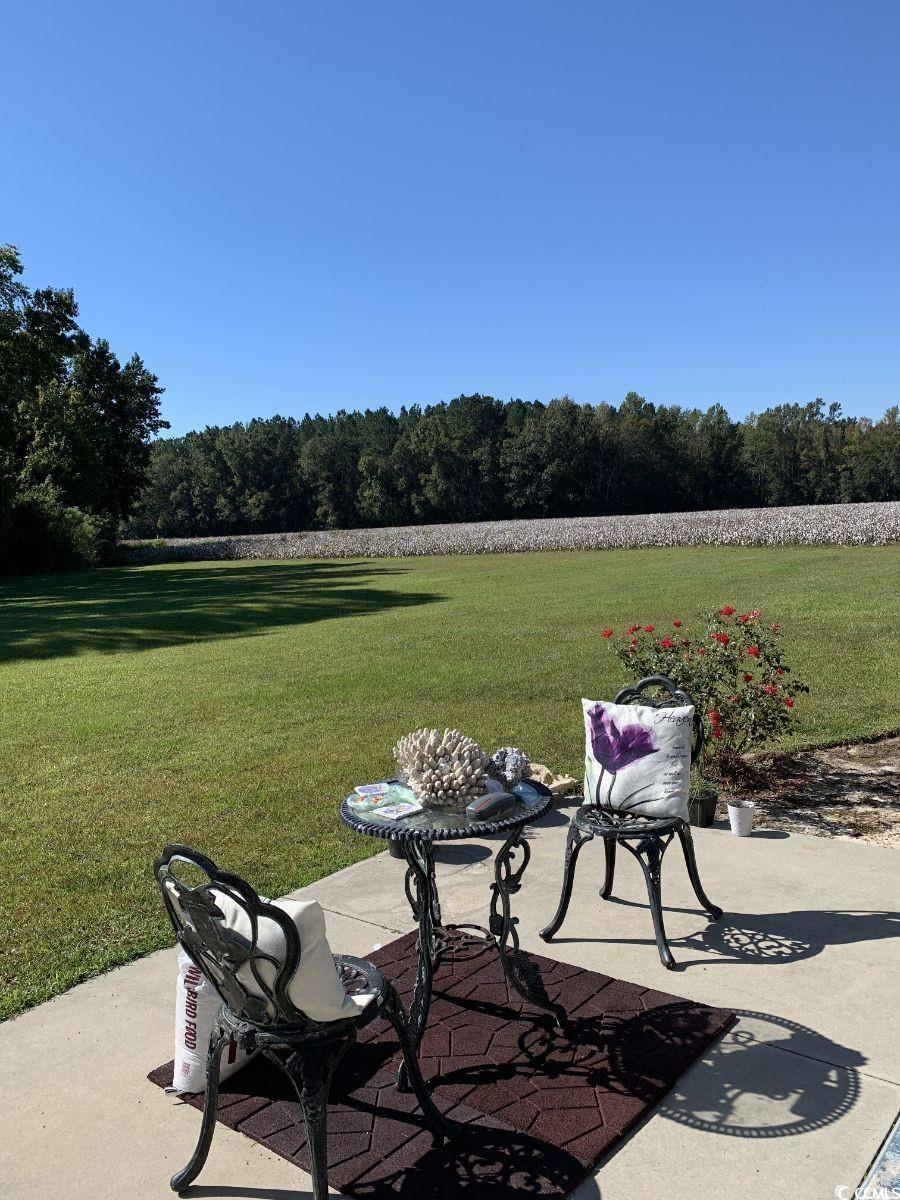1210 Horry Road Aynor, SC 29511 - Photo 23 of 34 View of patio / terrace featuring a forest view