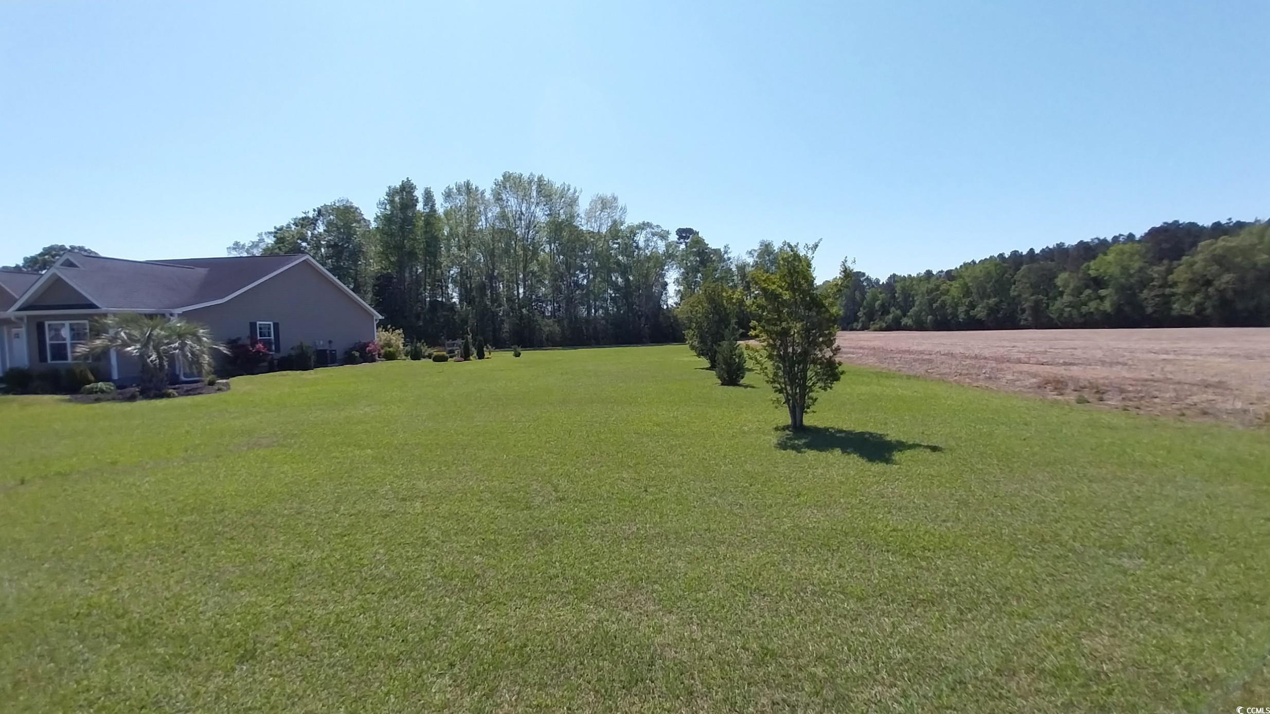 1210 Horry Road Aynor, SC 29511 - Photo 29 of 34 View of yard
