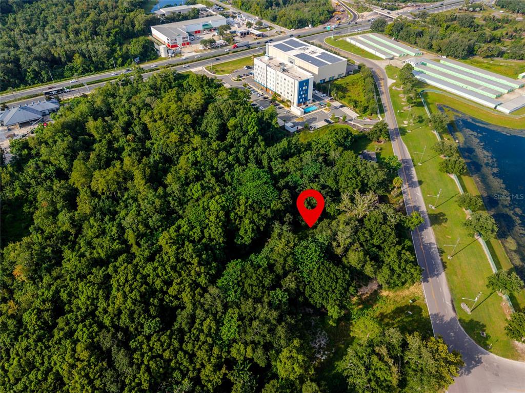 923 Marshall Farms Road Ocoee, FL 34761 - Photo 8 of 20 Gallery Image 8