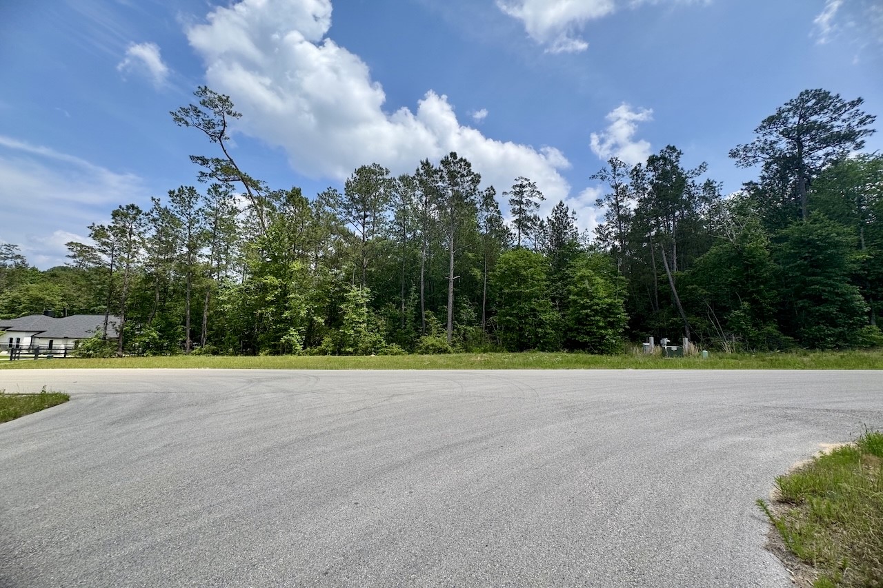 276 Exploration Road Willis, TX 77378 - Photo 5 of 11 a view of an outdoor space and a yard