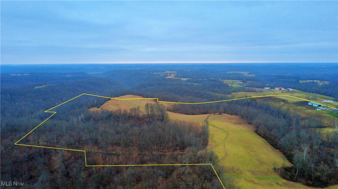 2242 South McCoy Ridge Road Stockport, OH 43787 - Photo 29 of 41 View of property location with property boundaries highlighted and a forest