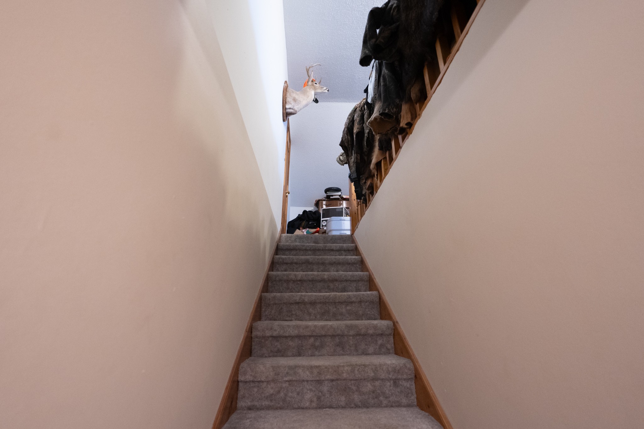 757 Bryson Road Ardmore, TN 38449 - Photo 21 of 40 a view of entryway