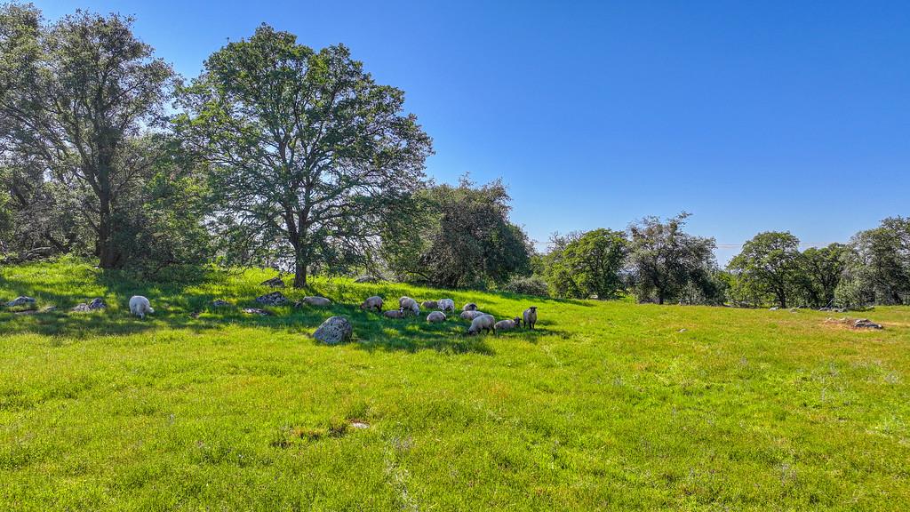 7505 Wise Road Auburn, CA 95603 - Photo 39 of 56