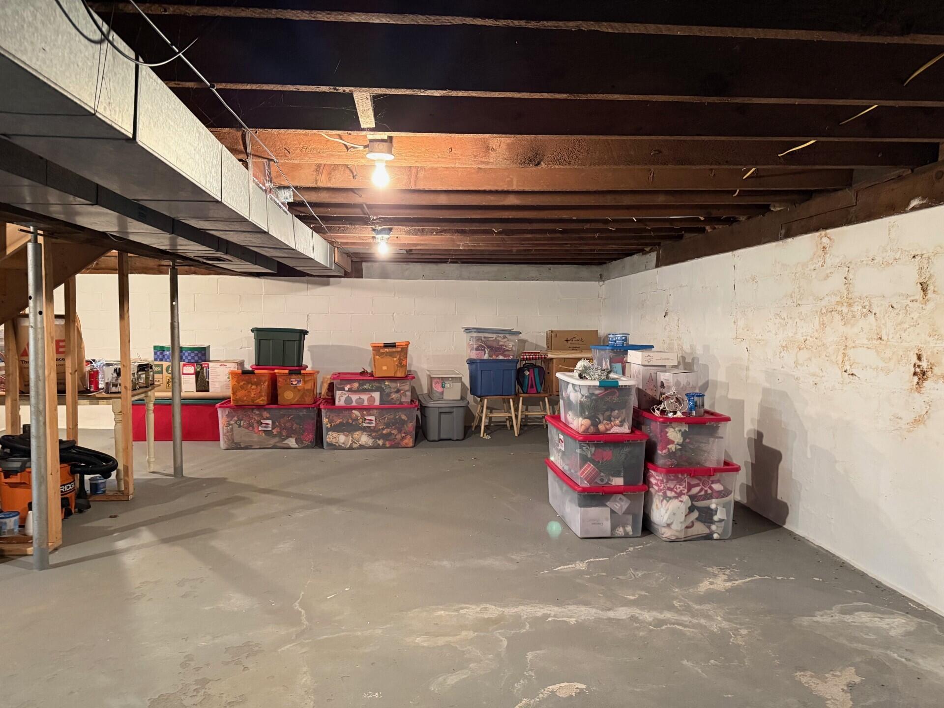 603 South George Street Ludington, MI 49431 - Photo 18 of 23 Basement1