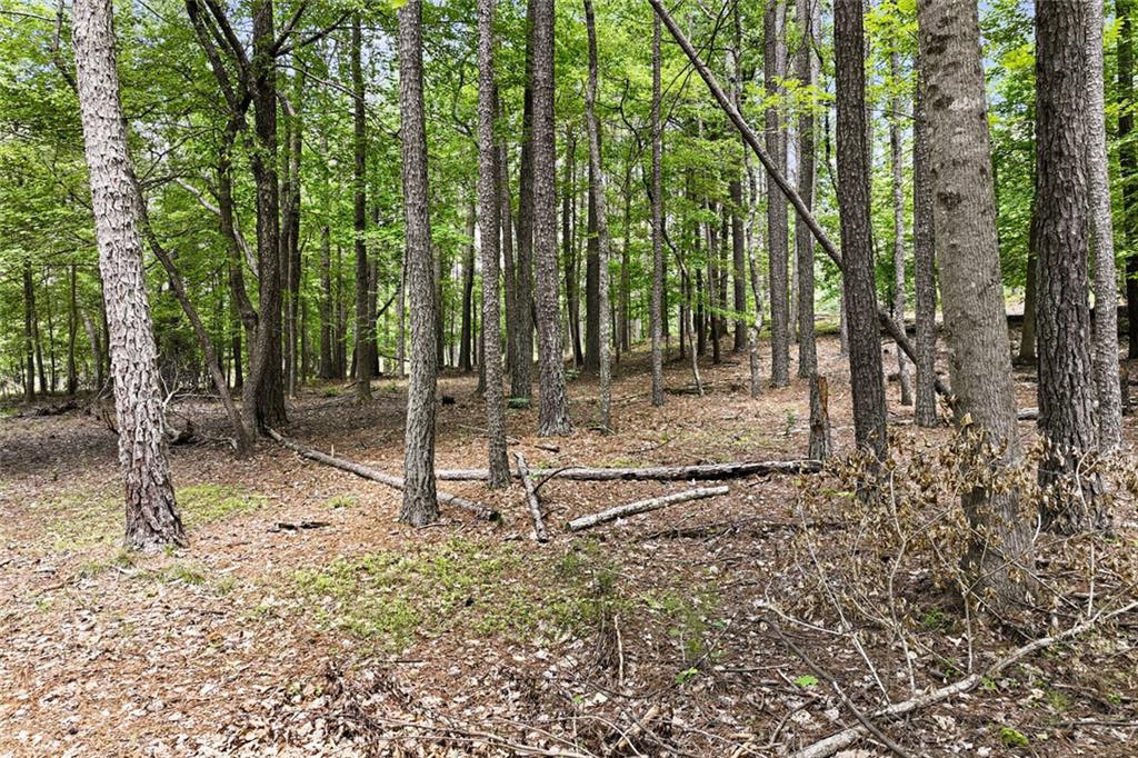 3735 Smithtown Road Suwanee, GA 30024 - Photo 18 of 29
