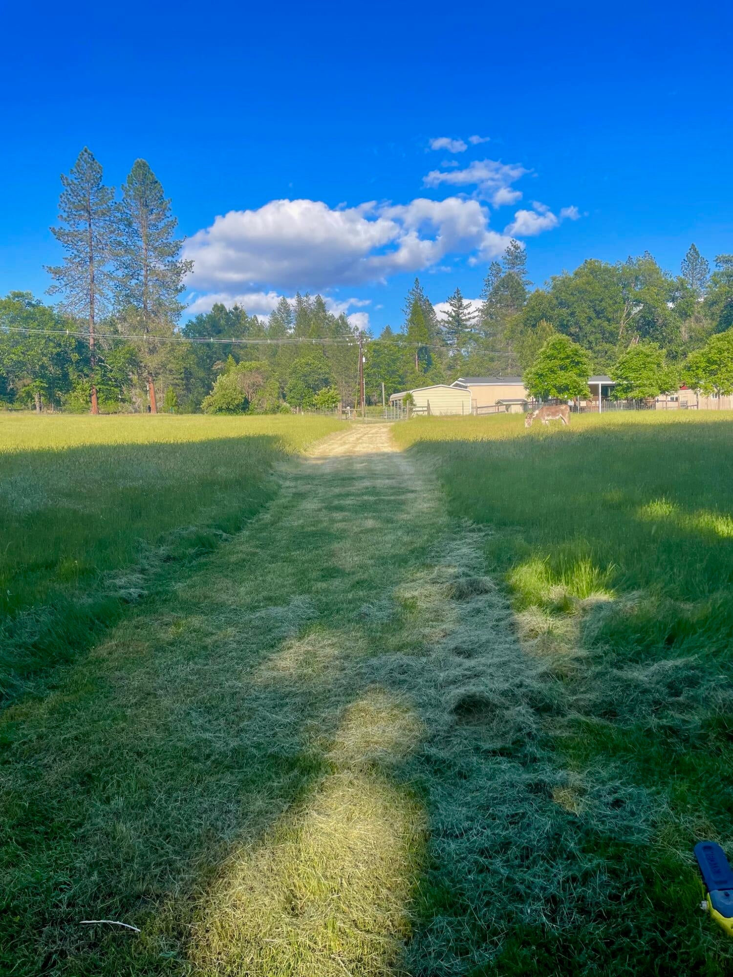 trail to your creekfront