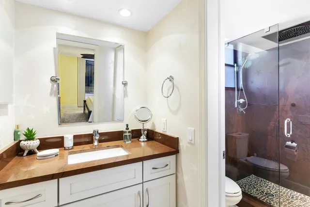 a bathroom with a sink a toilet and shower