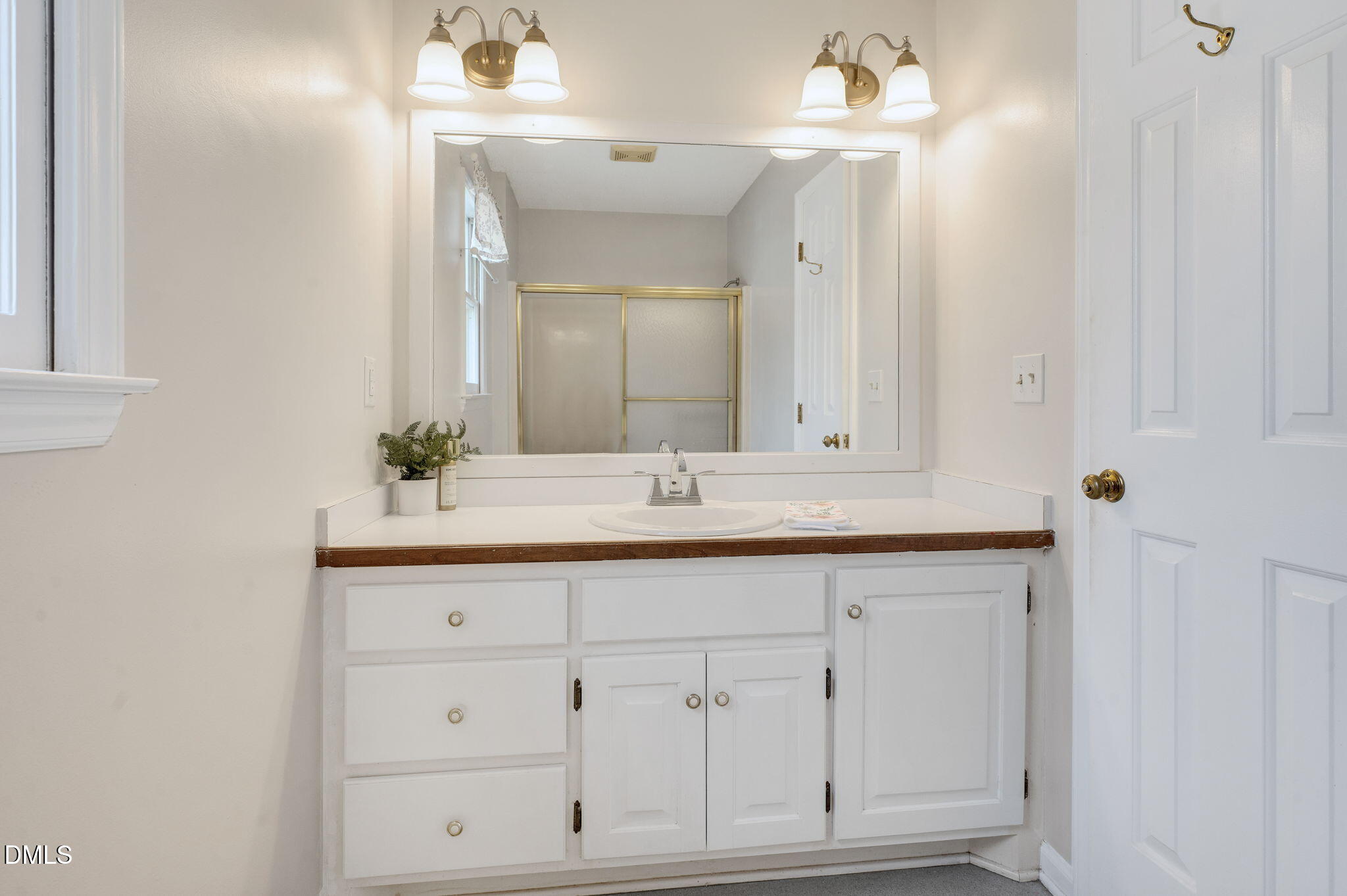 9205 Tree Meadow Lane Raleigh, NC 27603 - Photo 33 of 44 a bathroom with a sink vanity and a mirror