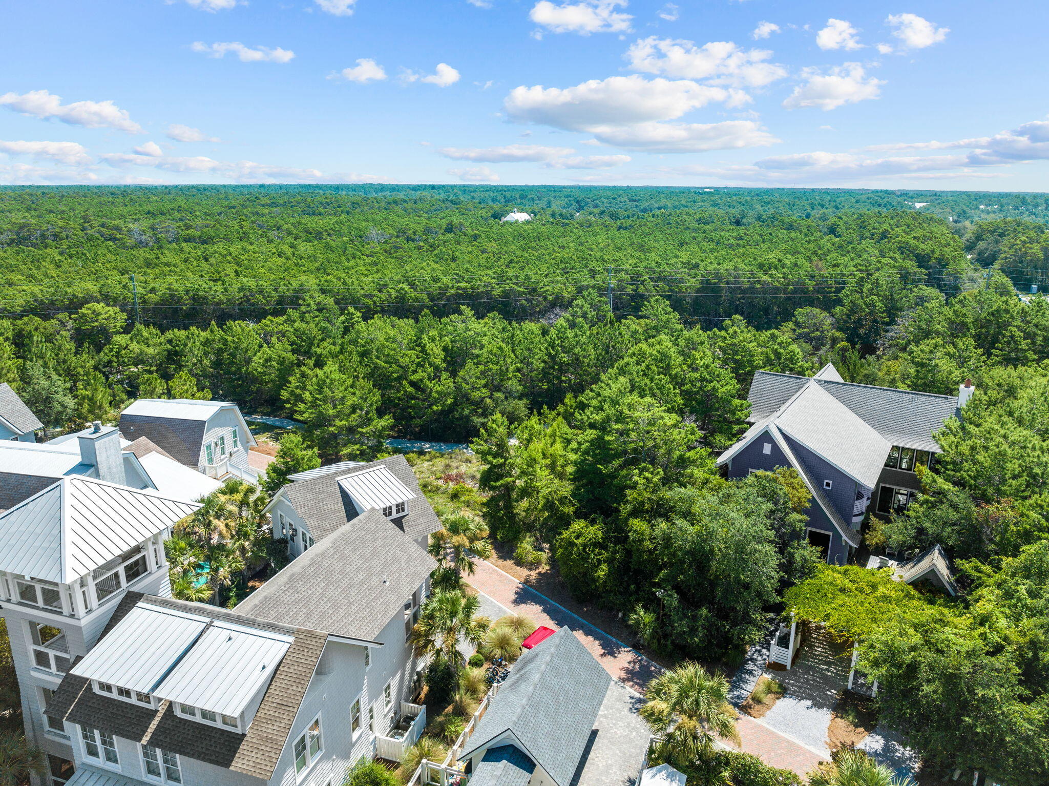 Lot 35 Creek Bridge Ln Inlet Beach Inlet Beach, FL 32461 - Photo 9 of 43 Array_Lot35WatersoundBridges-10