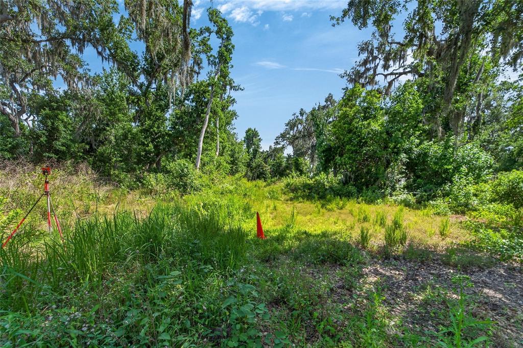 672 Highway Lithia Lithia, FL 33547 - Photo 23 of 24