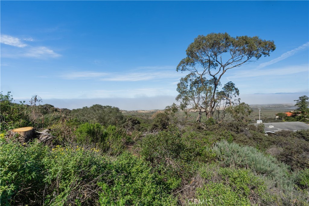 0 Pecho Valley Road Los Osos, CA 93402 - Photo 1 of 12