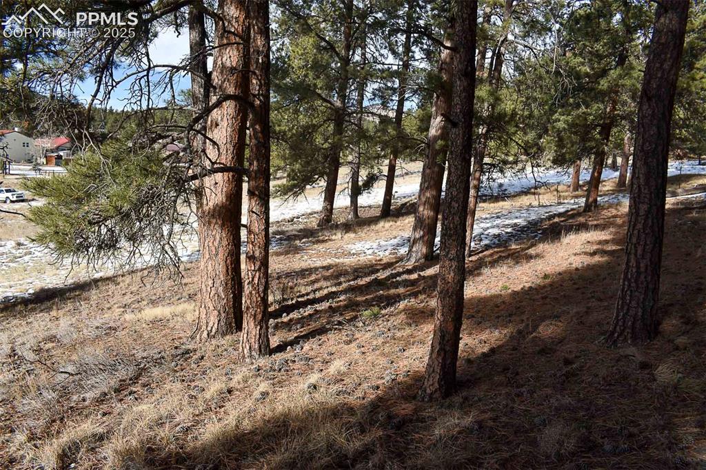 6th Street Guffey, CO 80820 - Photo 24 of 28
